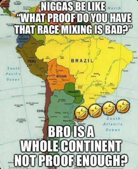 1775802476876