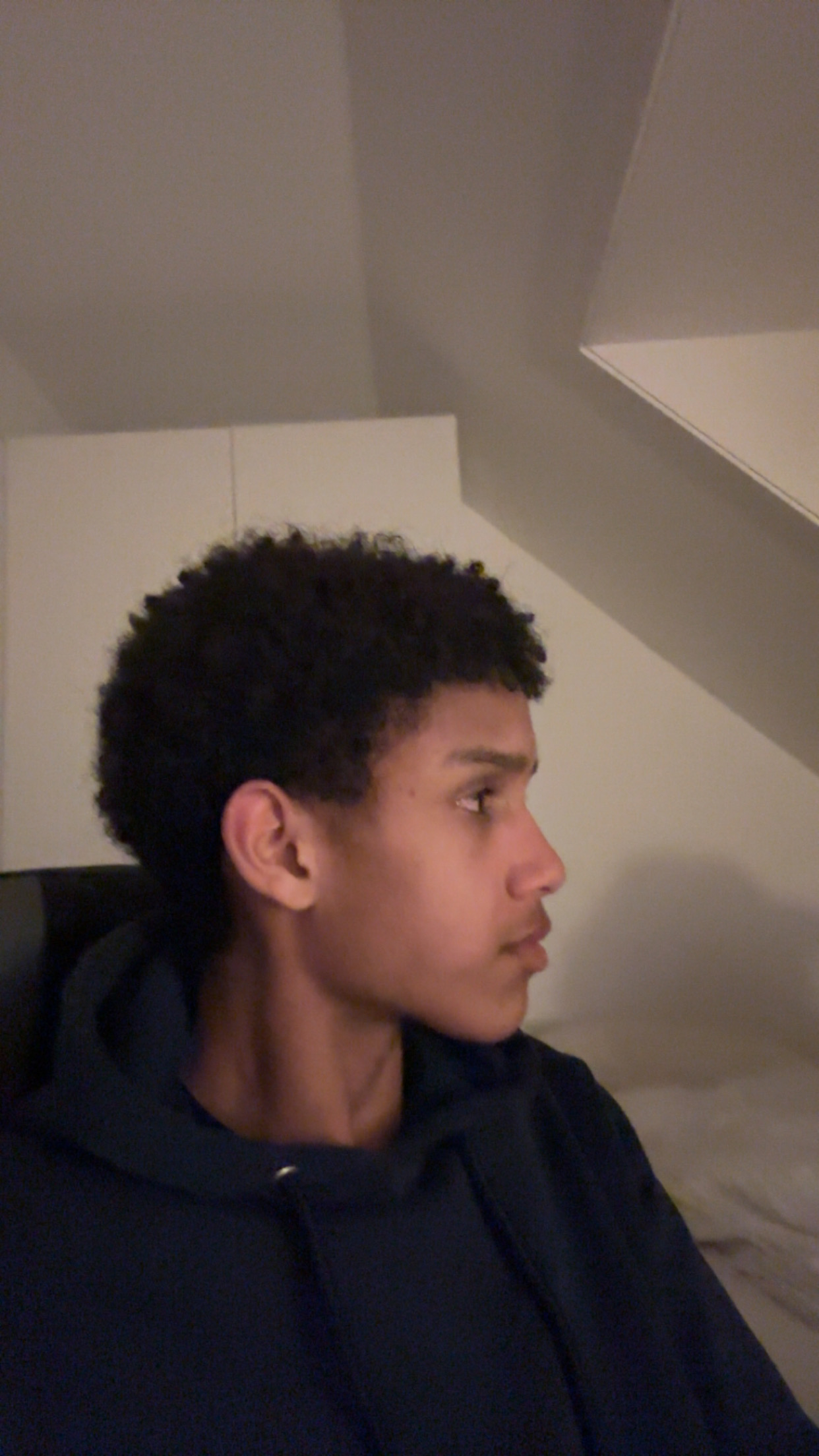 IMG 3392