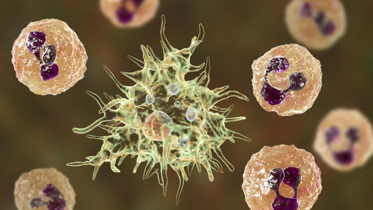 6153f8cc67b0a90698c71faa