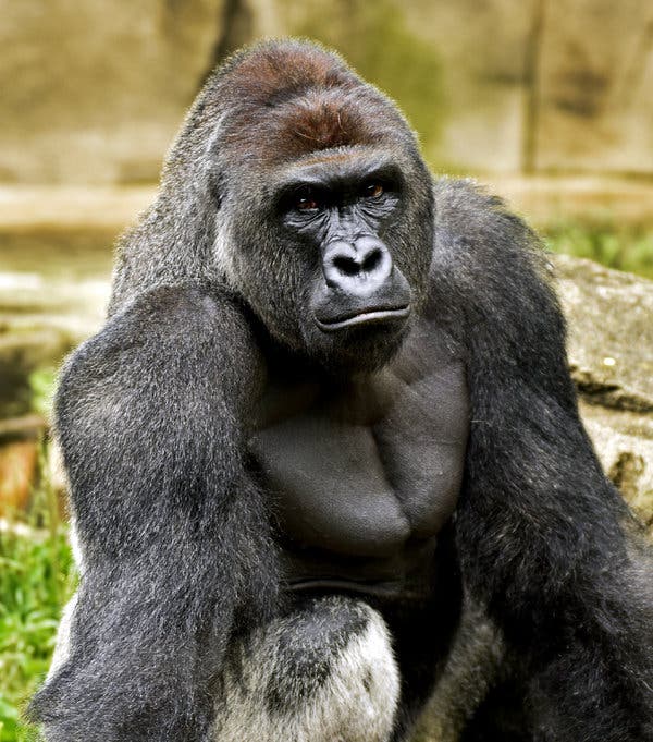 FD99B622 8AE6 4A91 8A30 1BC03367D7B3