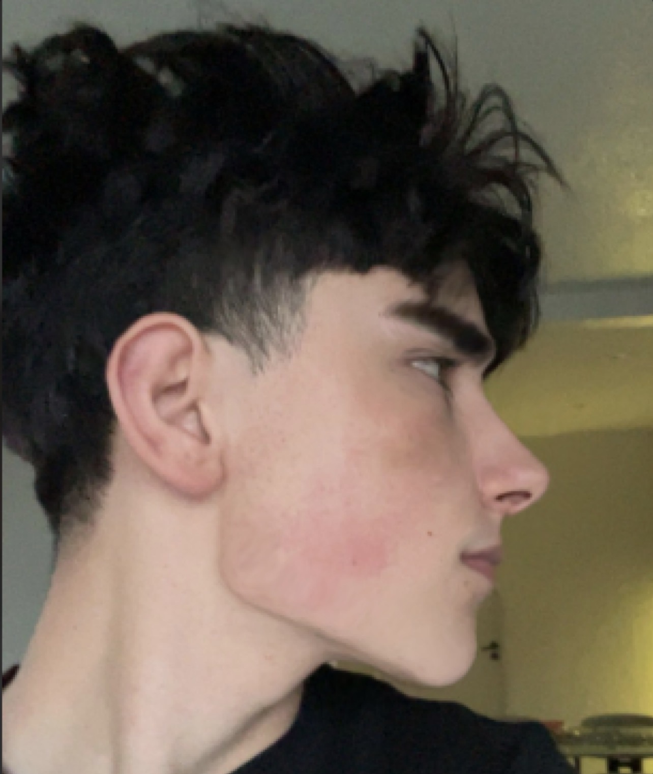 IMG 0456
