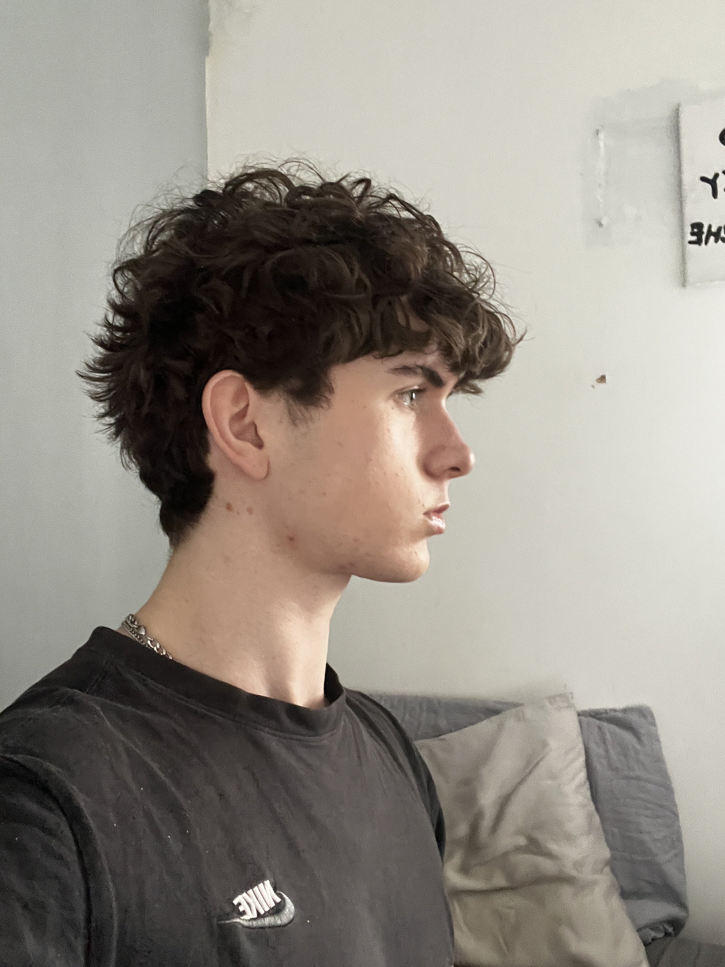 IMG 7271