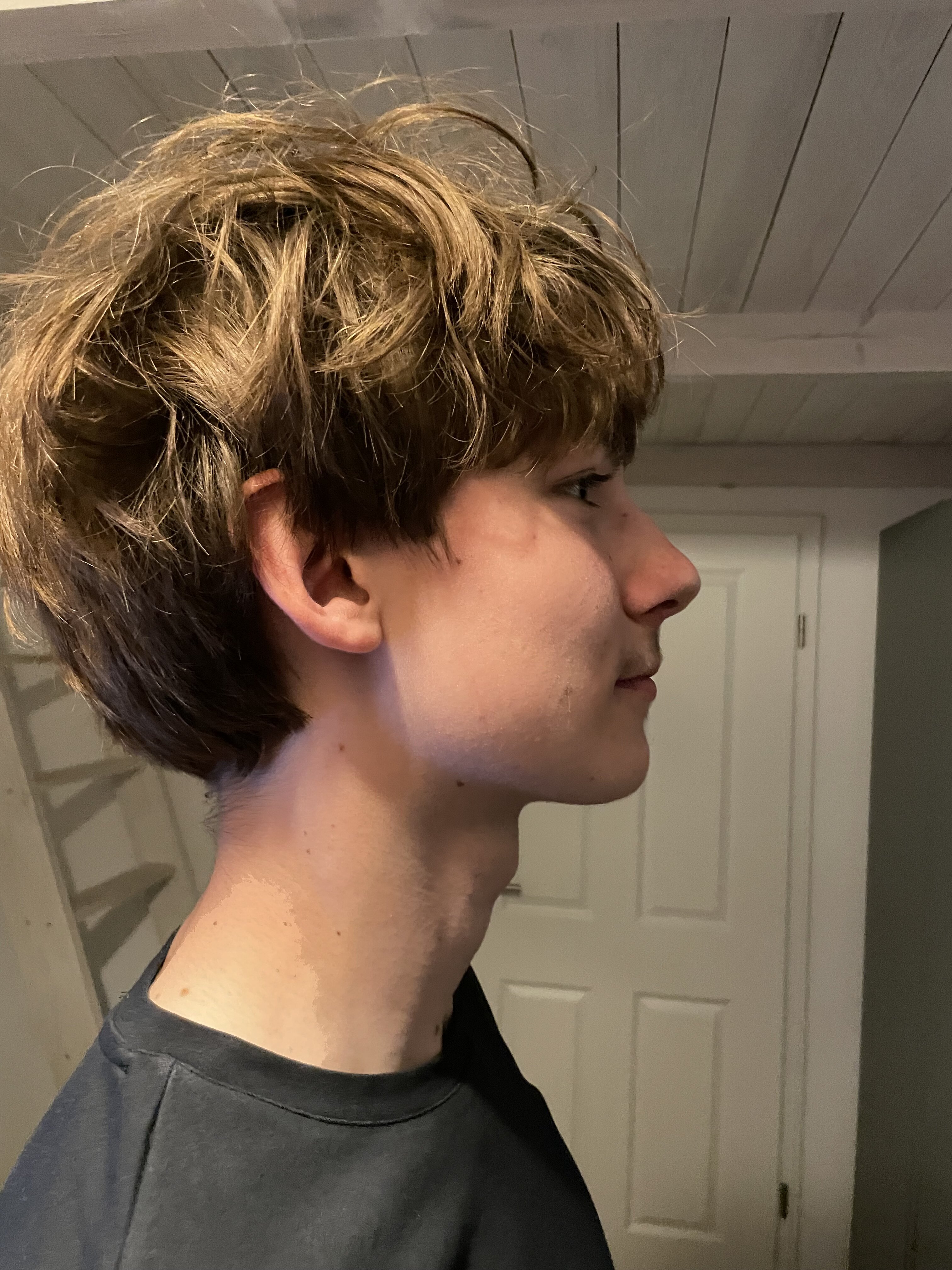 IMG 1884