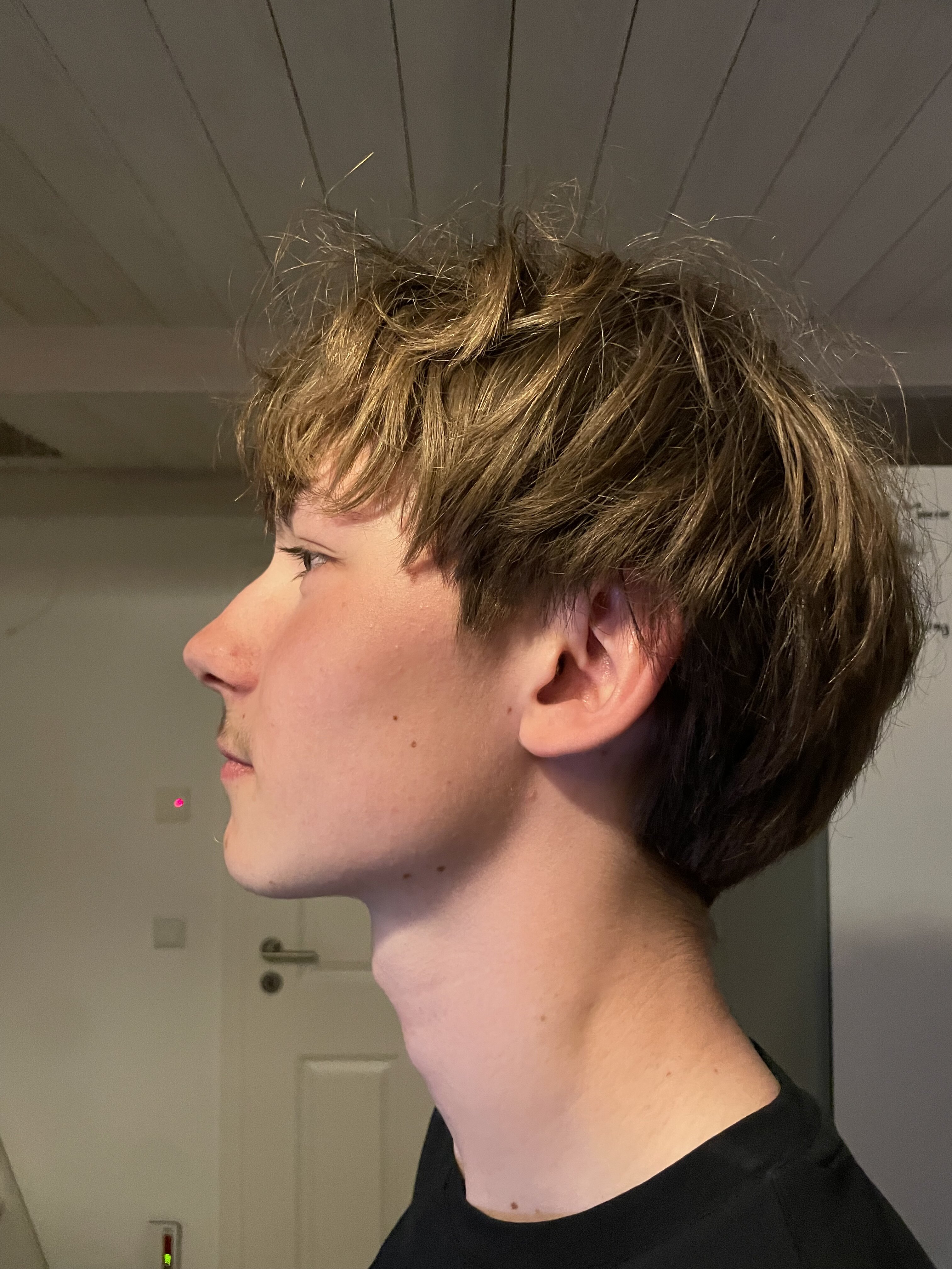 IMG 1882