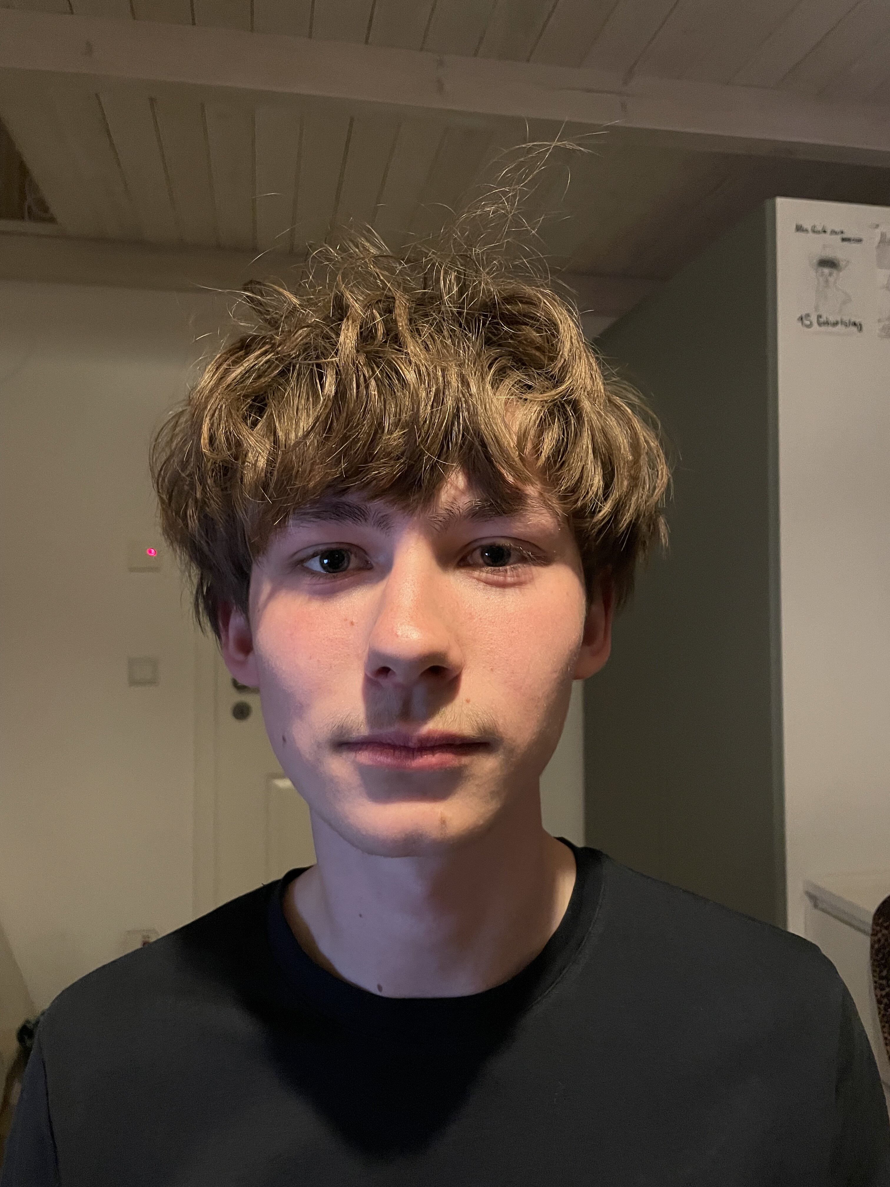IMG 1878