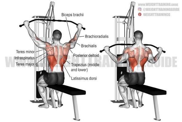 How to grow your back effectively 101 | Looksmax.org - Men's Self ...