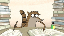 Regular show rigby