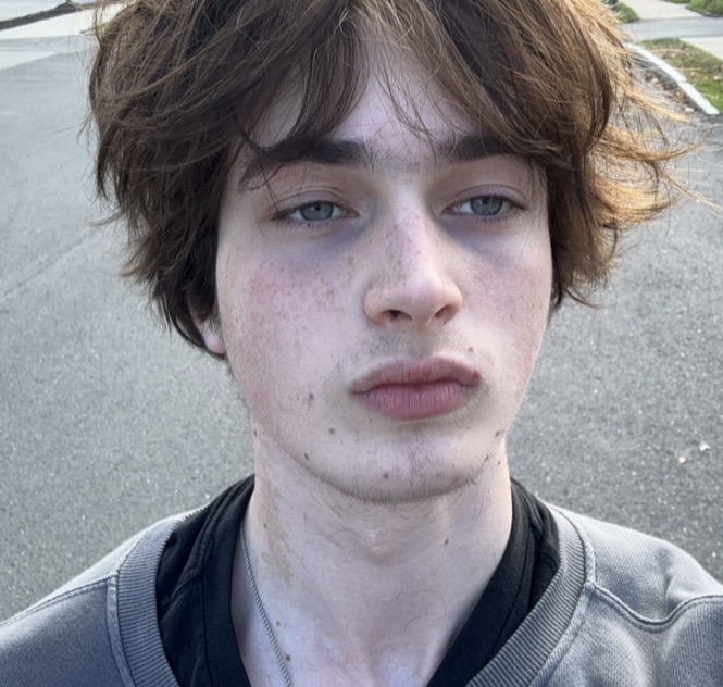 IMG 2636