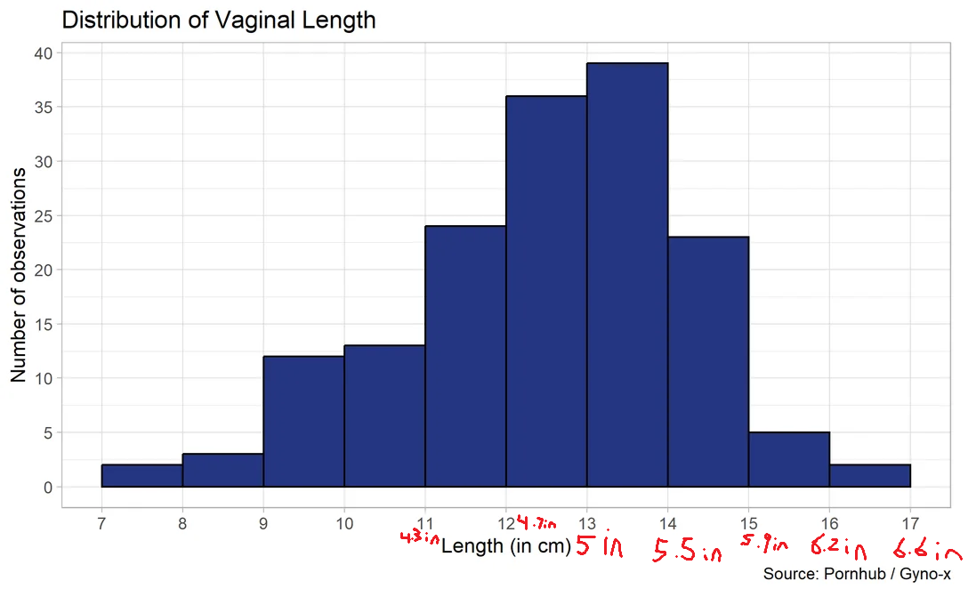 Vagina12121