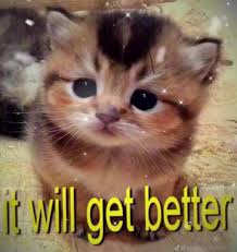 Things Will Just Get Better Meme | TikTok