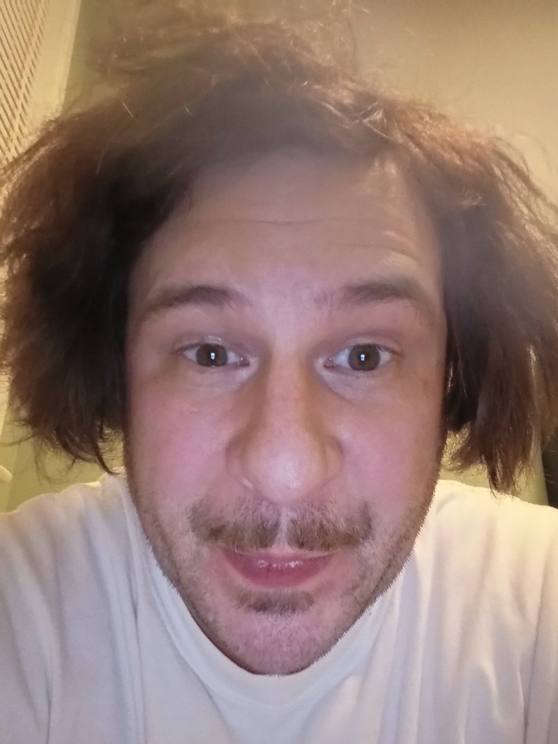 IMG 20260222 024939482