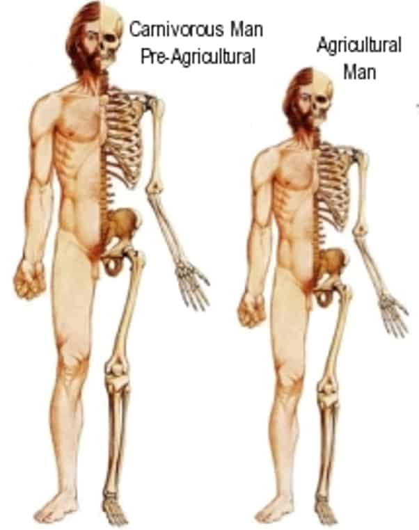 1776202594211