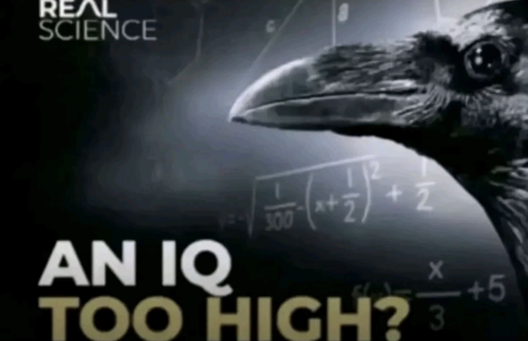 1000026061