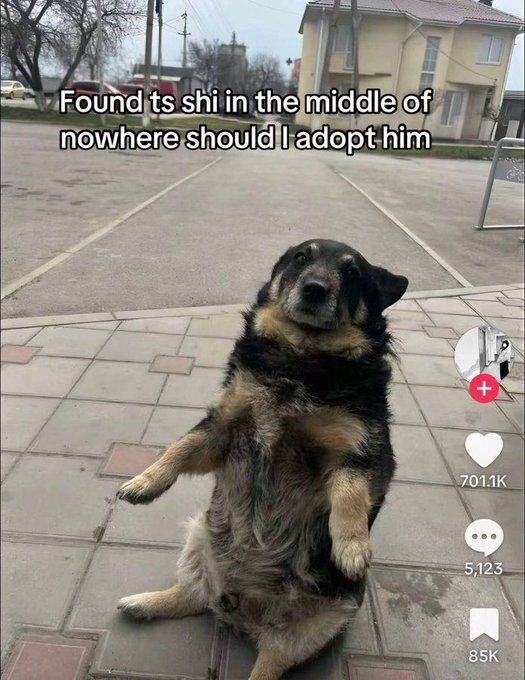 1000080517