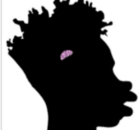 6064164 1774914478252