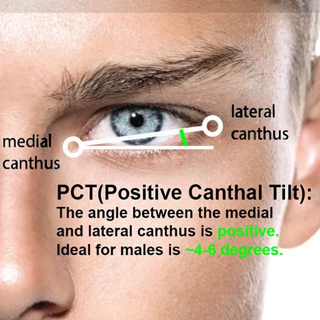 1538051 41895338 291486324914176 4179985950841485344 n