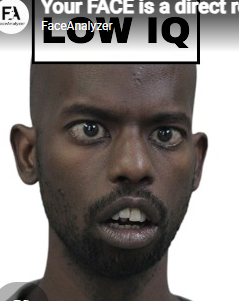 1776313911087