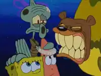 1000024408