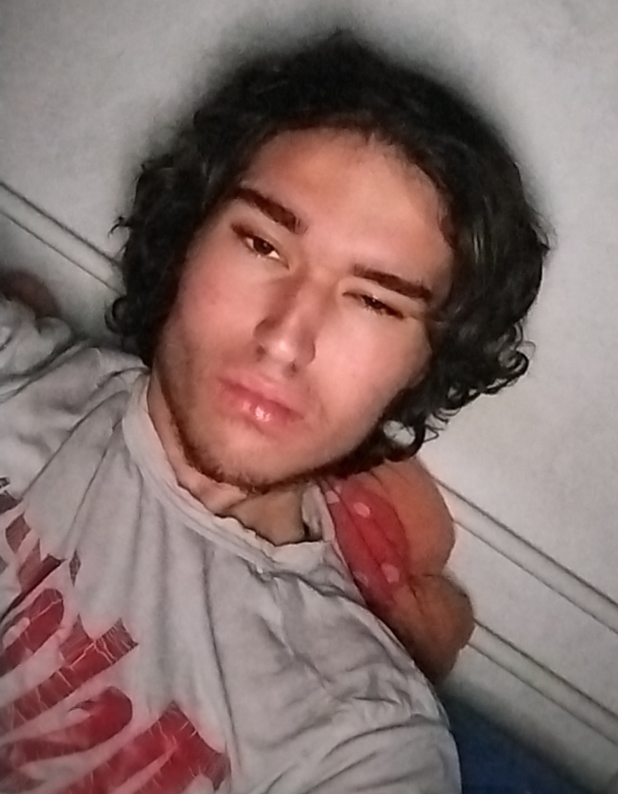 1000008206