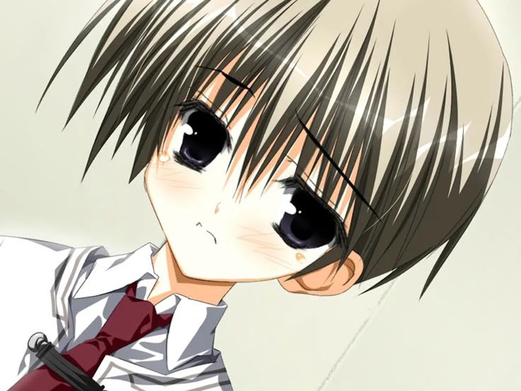 Subahibi