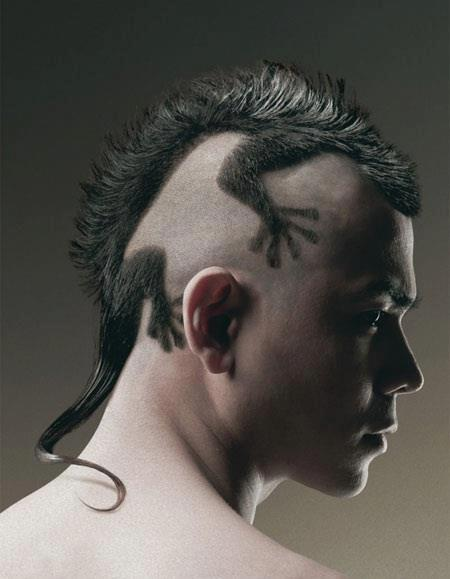 Funny Lizard Haircuts For Men