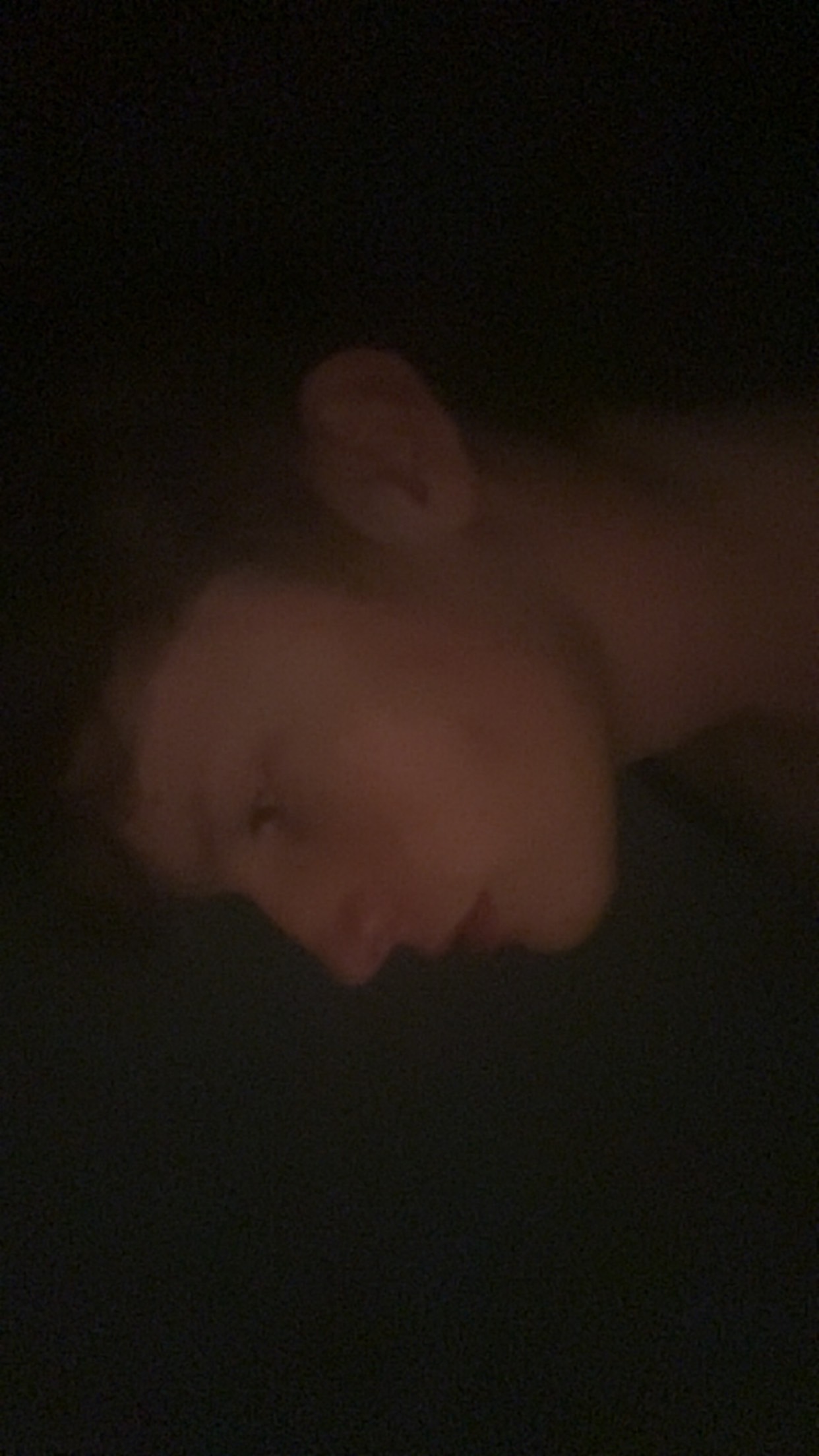 IMG 1759