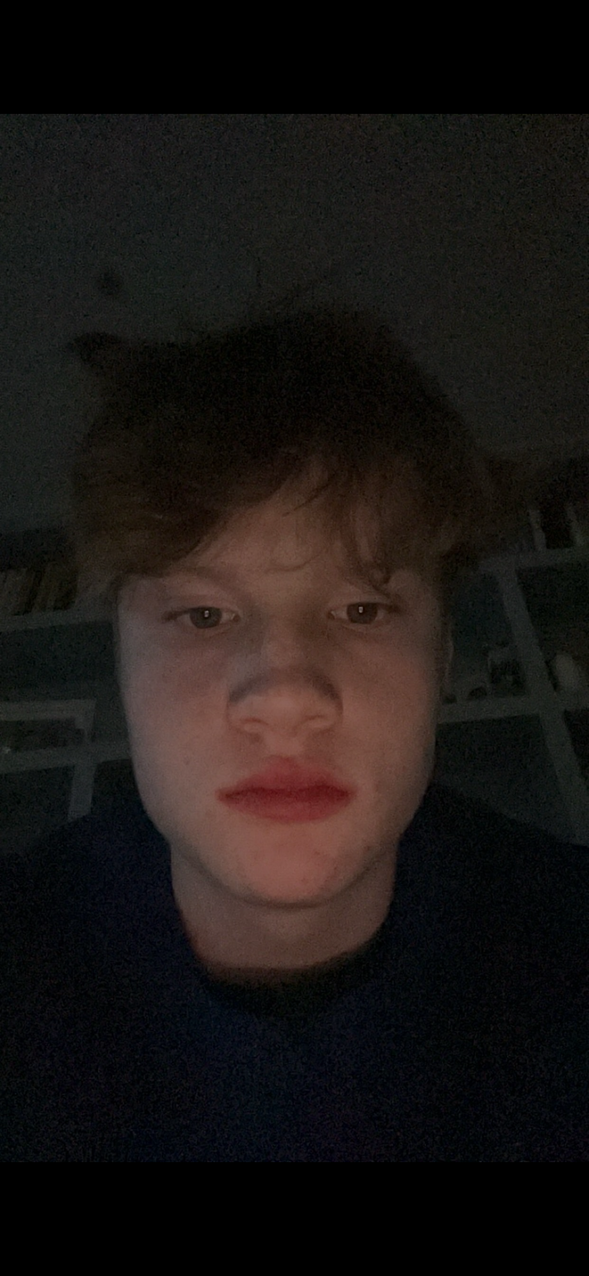 IMG 1765