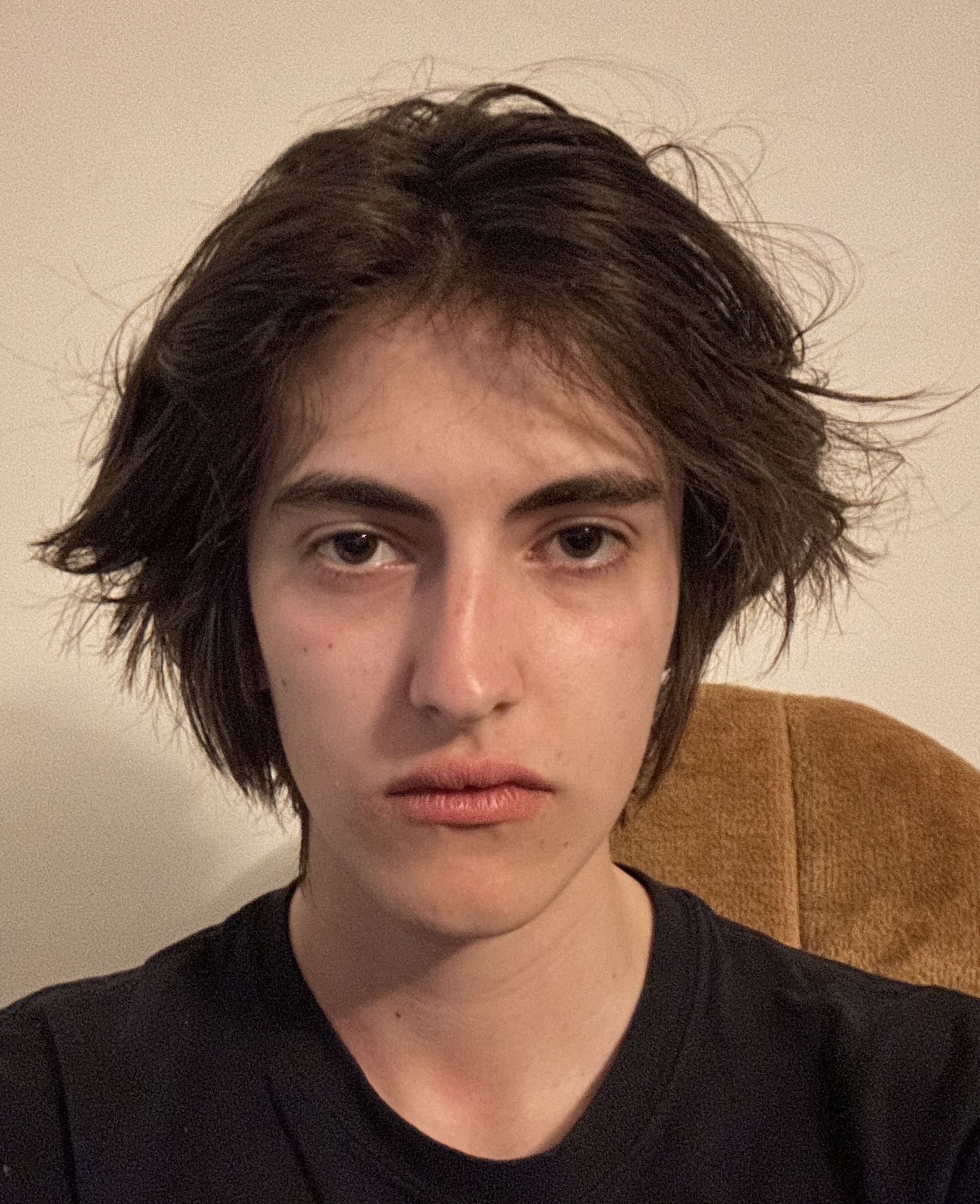 IMG 0349