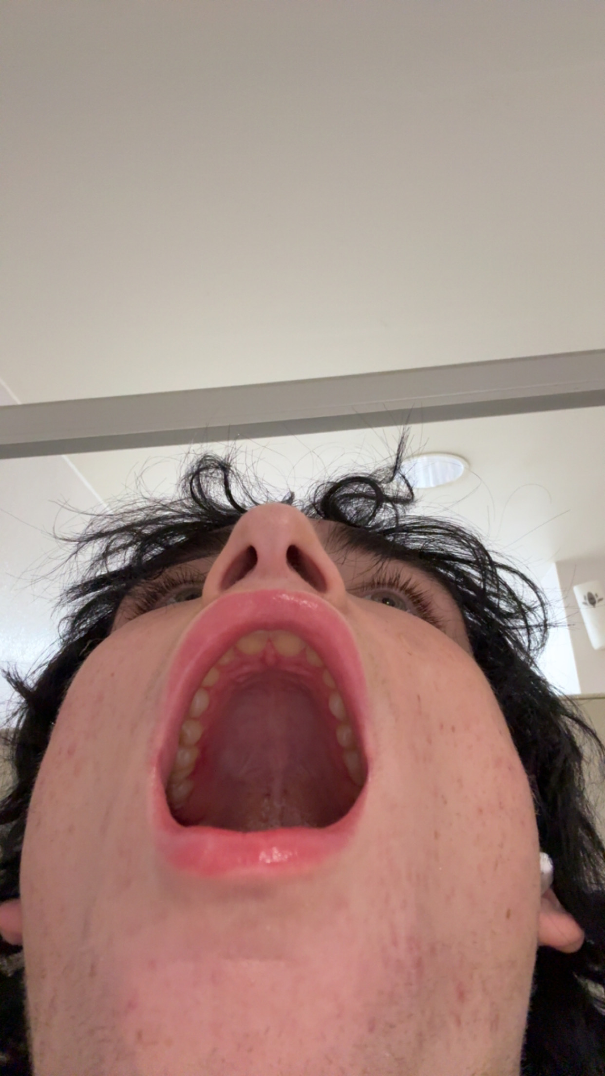 IMG 9556