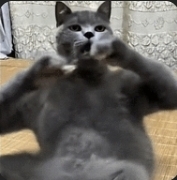 Screenshot 20260418 010242 Chrome