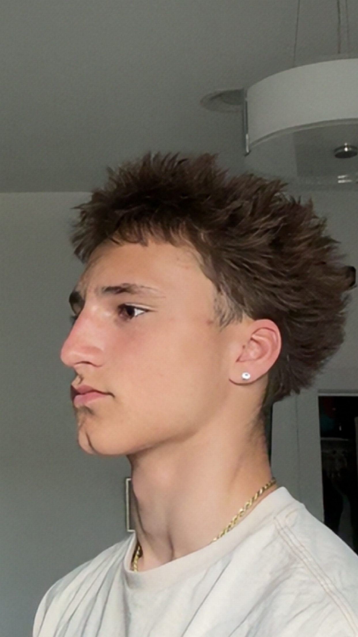 IMG 3539