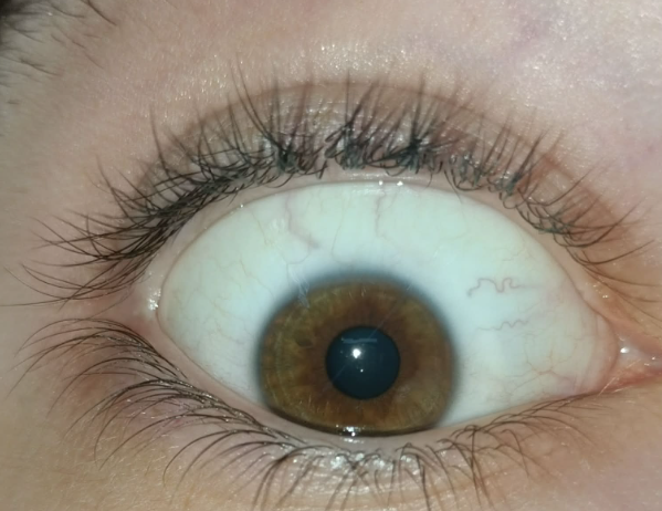 Screenshot 2026 04 19 090818