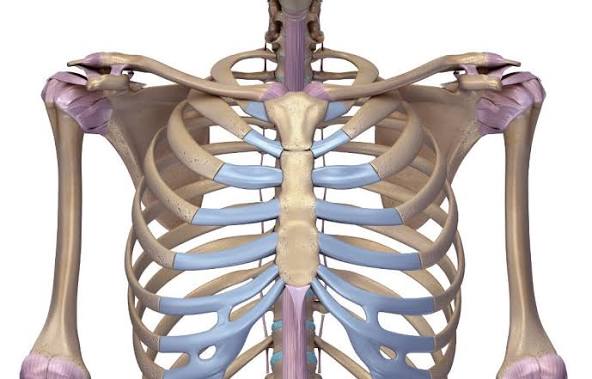 Download   2026 04 19T090534844