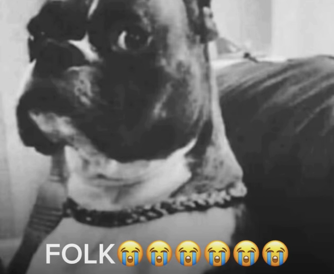 C176bed36c994f9580e19781b2664d81tplv jj85edgx6n image origin