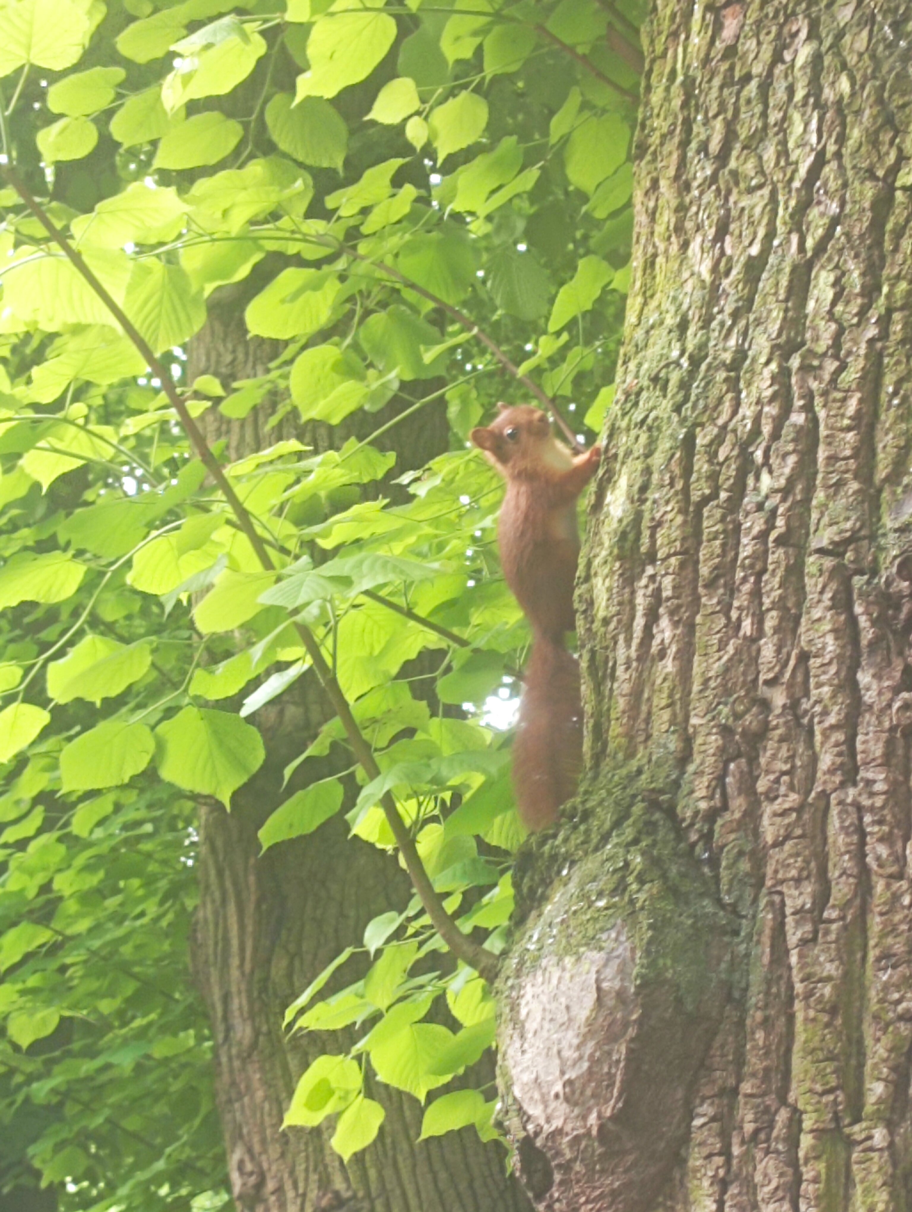 Ae4e3557 9711 45ed 84f9 aa1554ba49b3 1 all 618