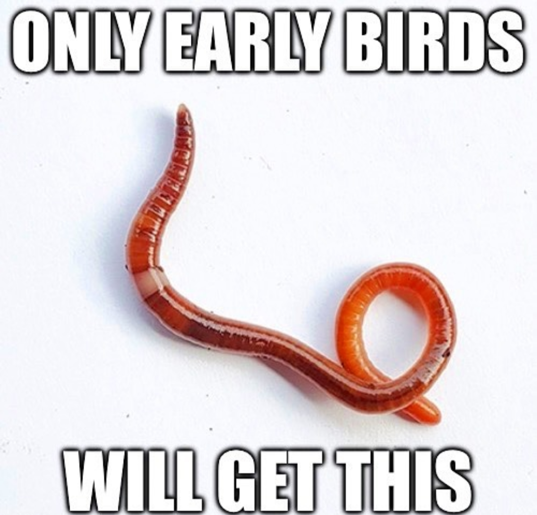 Screenshot 20230225 113937 351