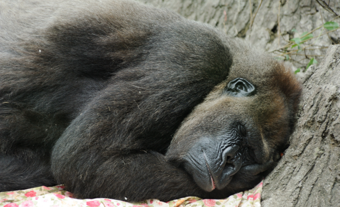 F50831fbeba7d3e6520b877ce8910a50