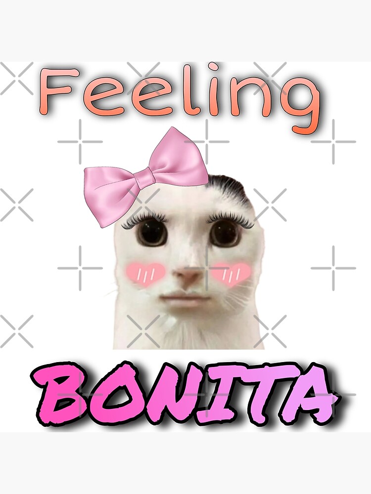 Flat750x075f pad750x1000f8f8f8