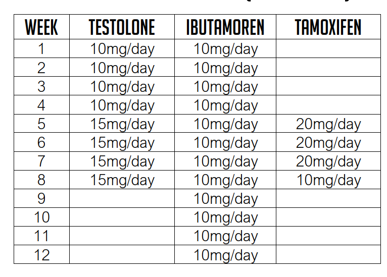 3992730 1709440108869