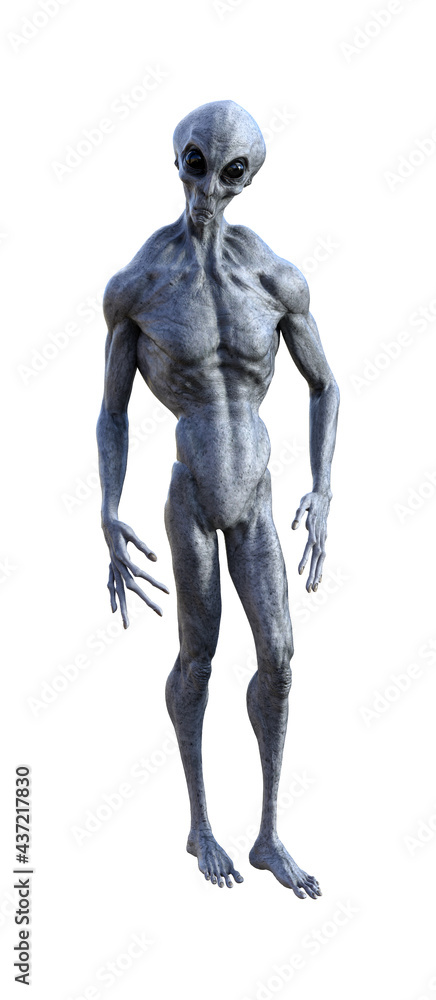 1000 F 437217830 R6YQFY5sdsLBAlsVxsMokWqVZAGFe5av