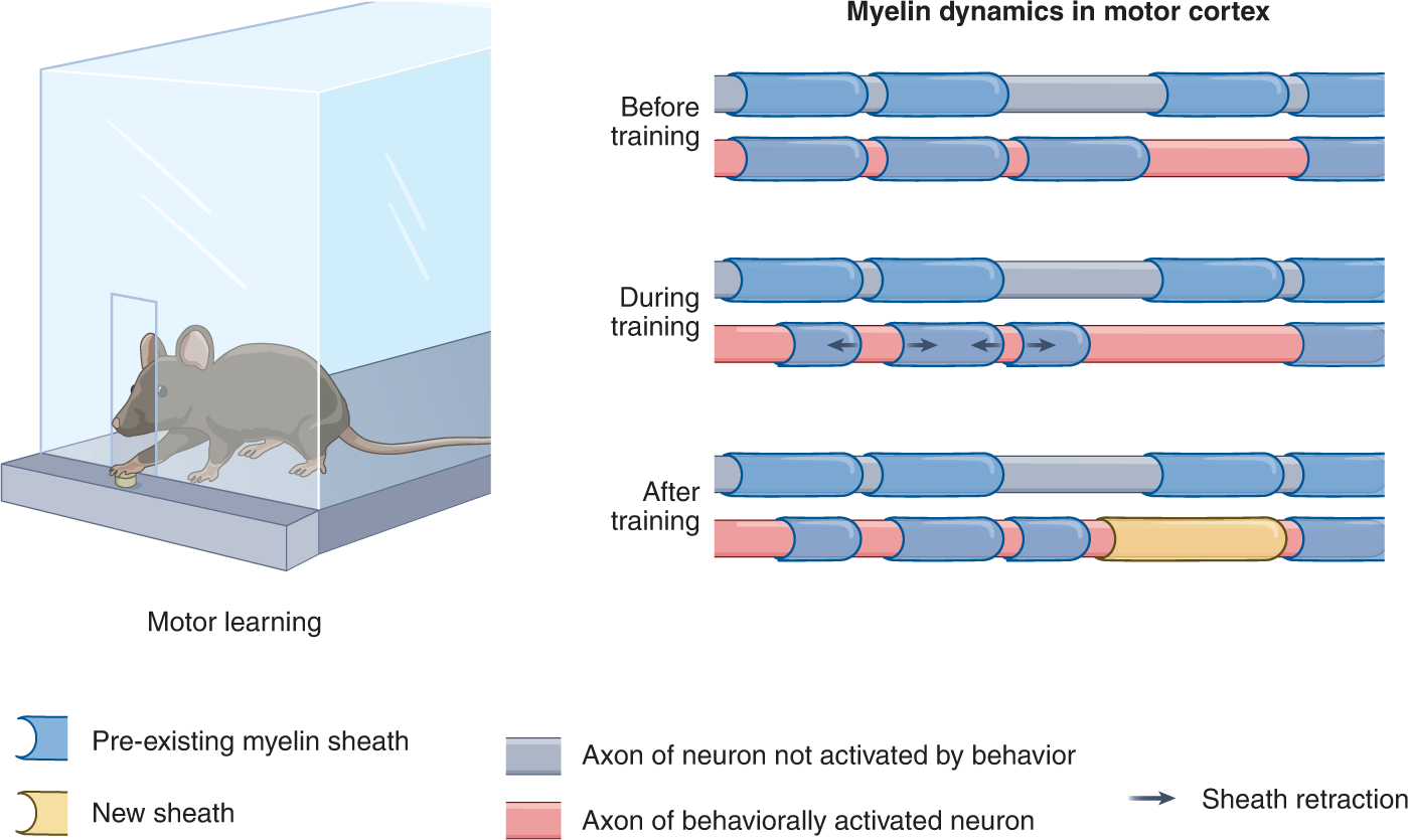41593 2022 1156 Fig1 HTML