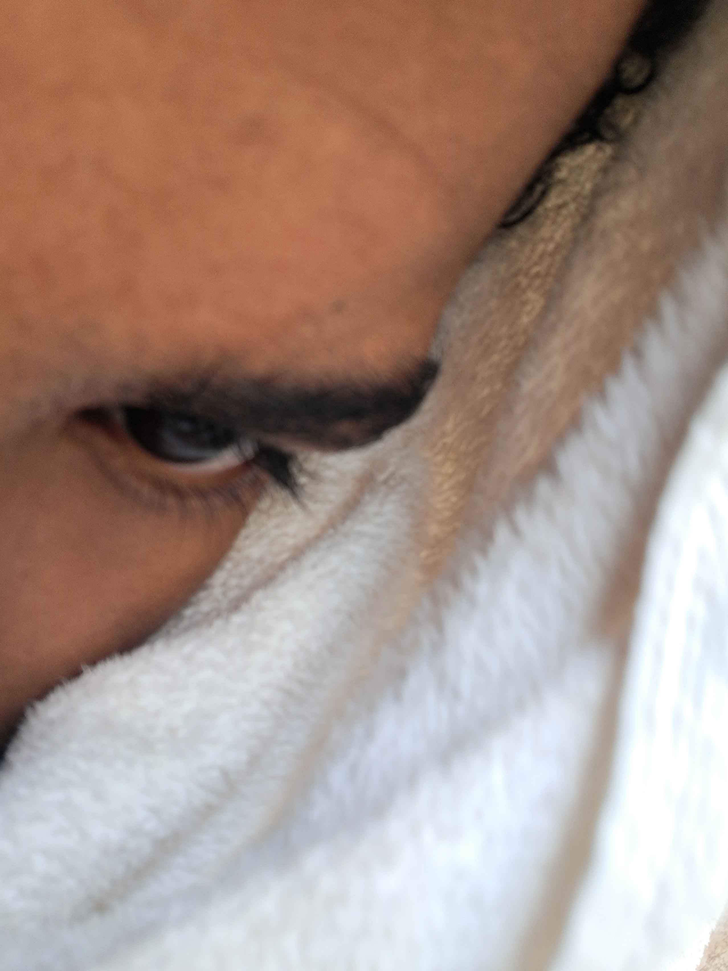 28ed8086 49af 49d8 af6c 6d565a9f548