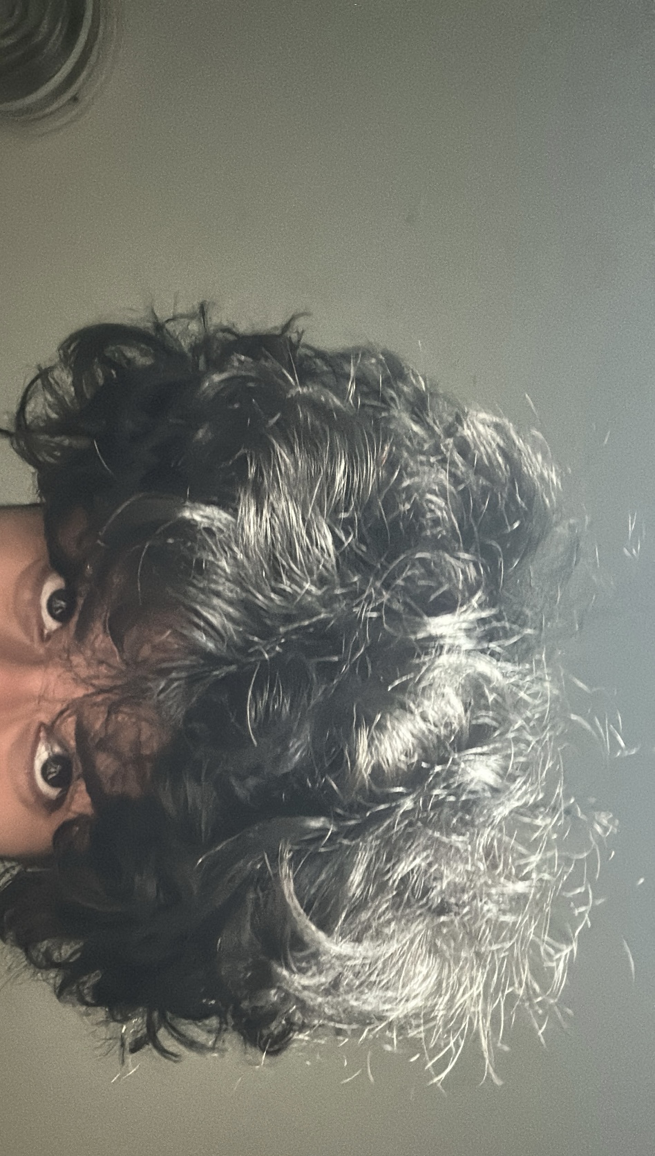 A1DA3A81 75DC 4332 8698 817DA3A2BCF4