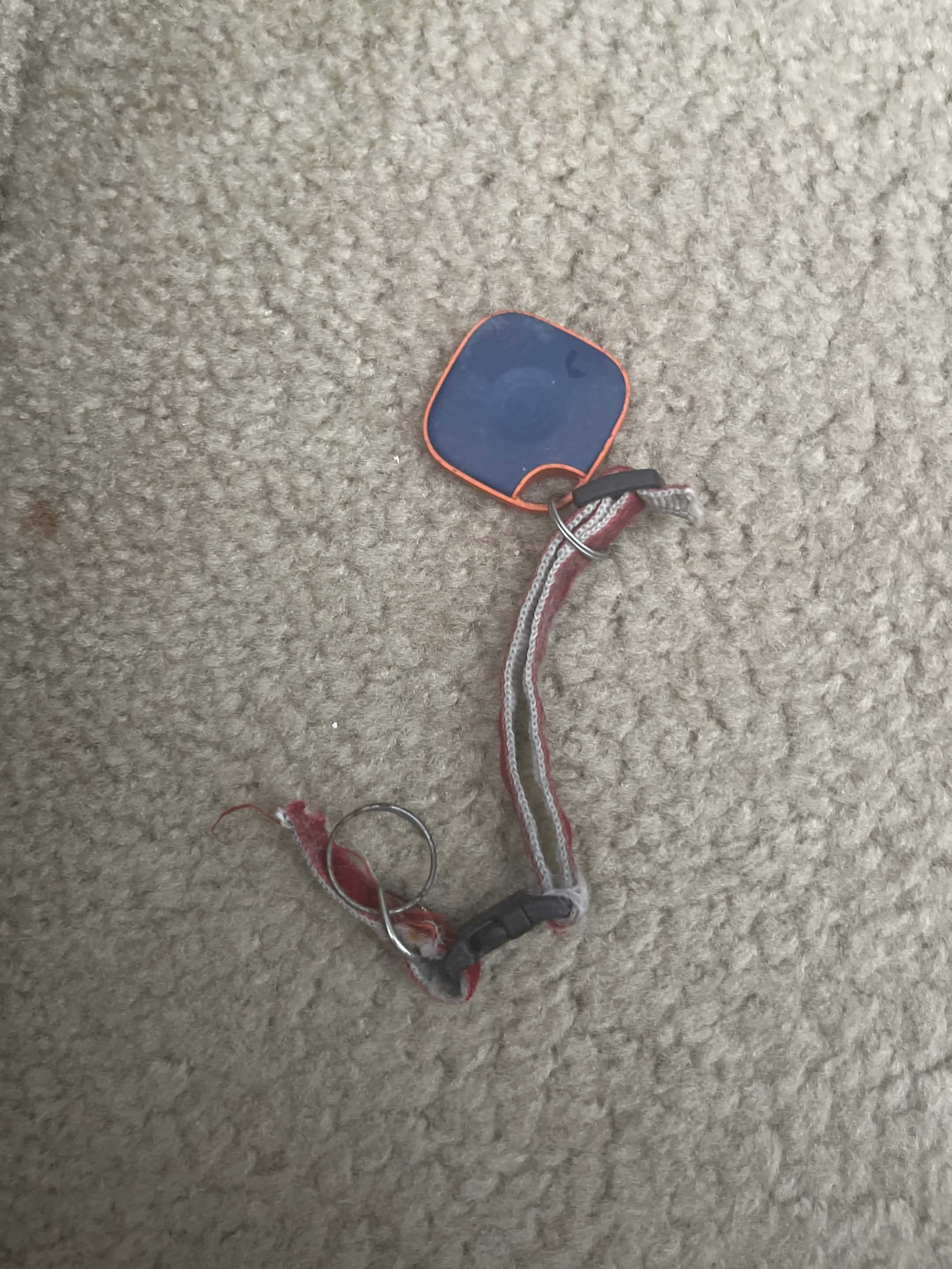 IMG 204BCE81 821B 4109 9B5B 08D060393D1A