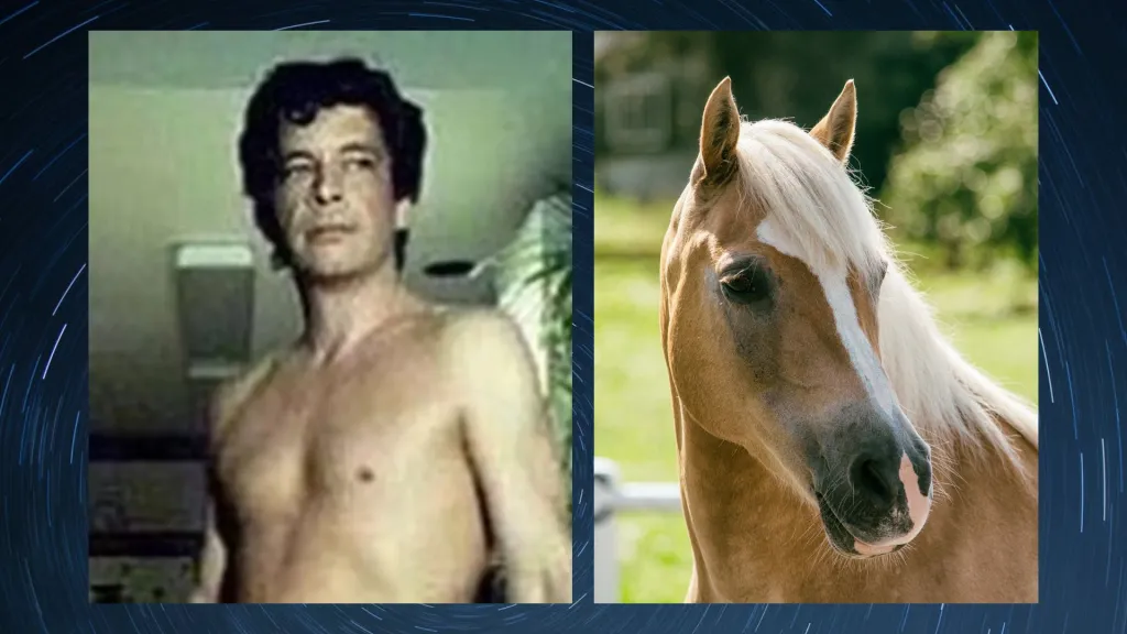 August 1920 c397 1080 px 1080 c397 1080 px 1920 c397 1080 px 40