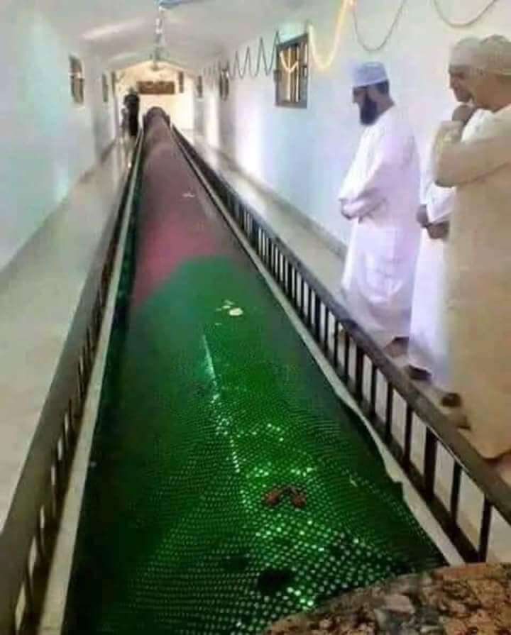 Hz ademe ait sanilan kabir