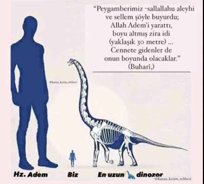 Screenshot 2026 04 24 17 55 43 872 comandroidchrome edit