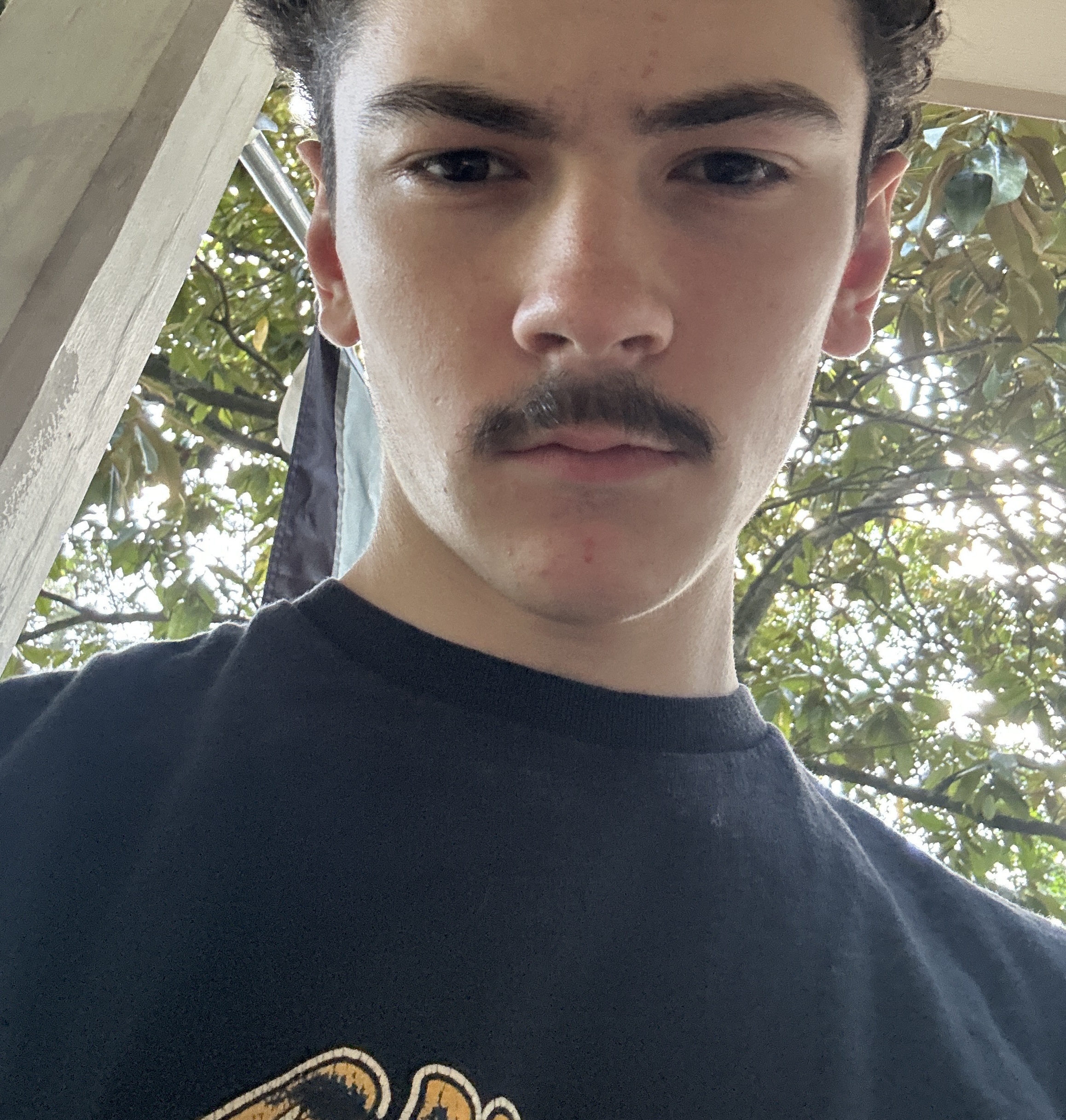 IMG FDF86291 2900 41FA B215 FD92C0E2A040