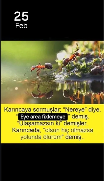 Screenshot 2026 04 24 20 16 55 213 cominstagramandroid edit