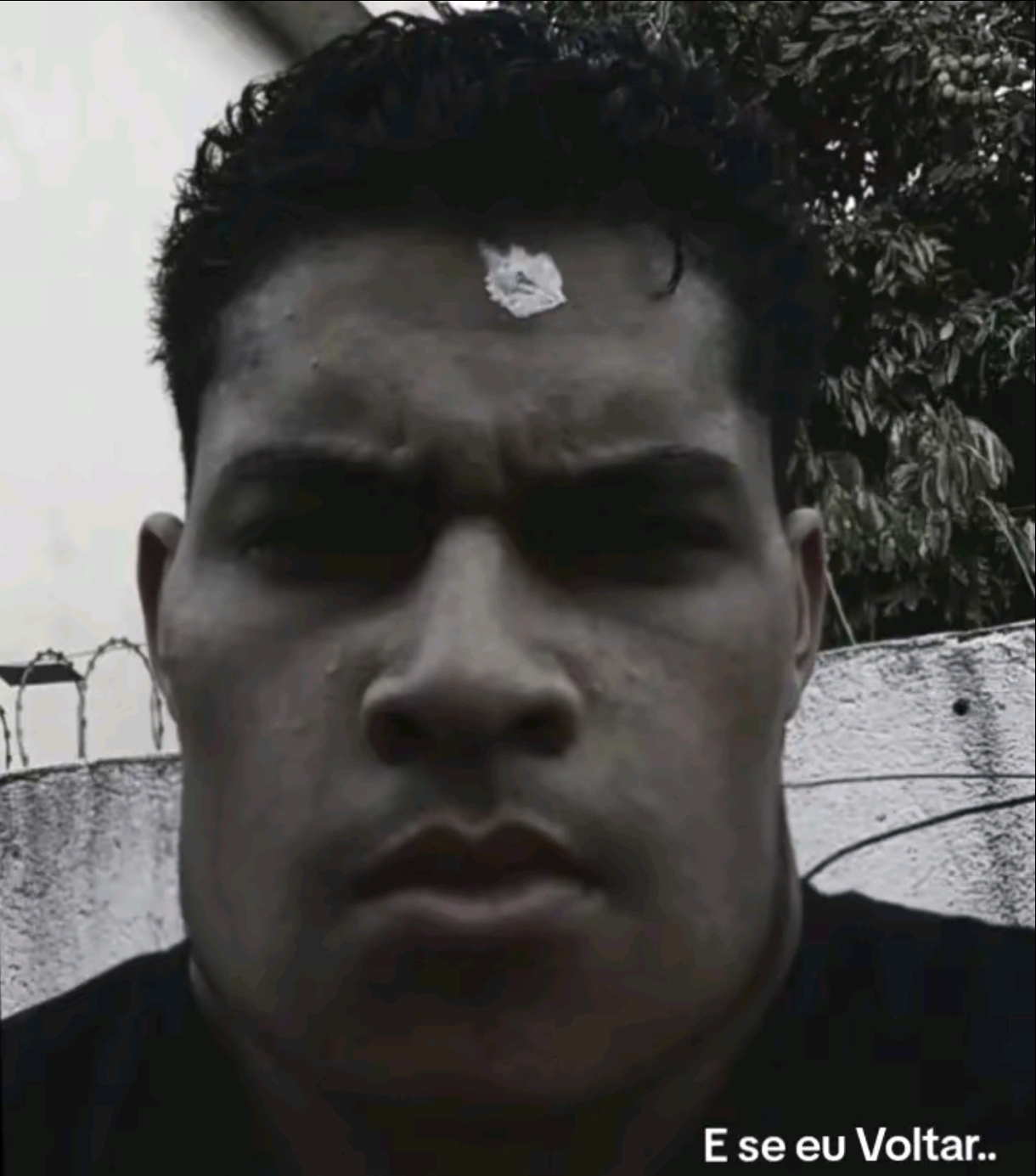 6187880 Screenshot 2026 04 25 17 54 01 459 comzhiliaoappmusically edit